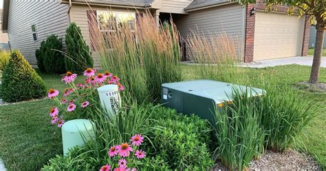 planting vegetation near electrical box